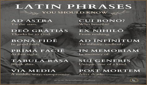 A Profile Of A Latin Beauty