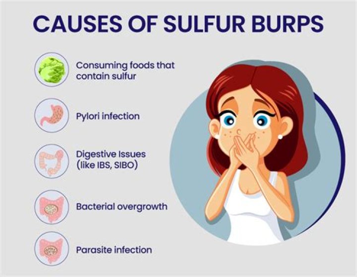 Do humans need to burp?