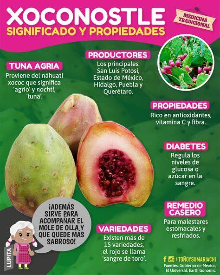 ¿Dónde se consigue el xoconostle?