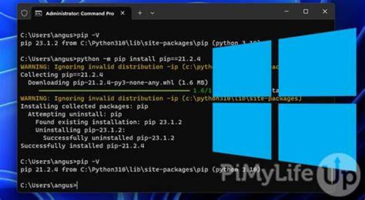 How do you check all PIP installed packages?