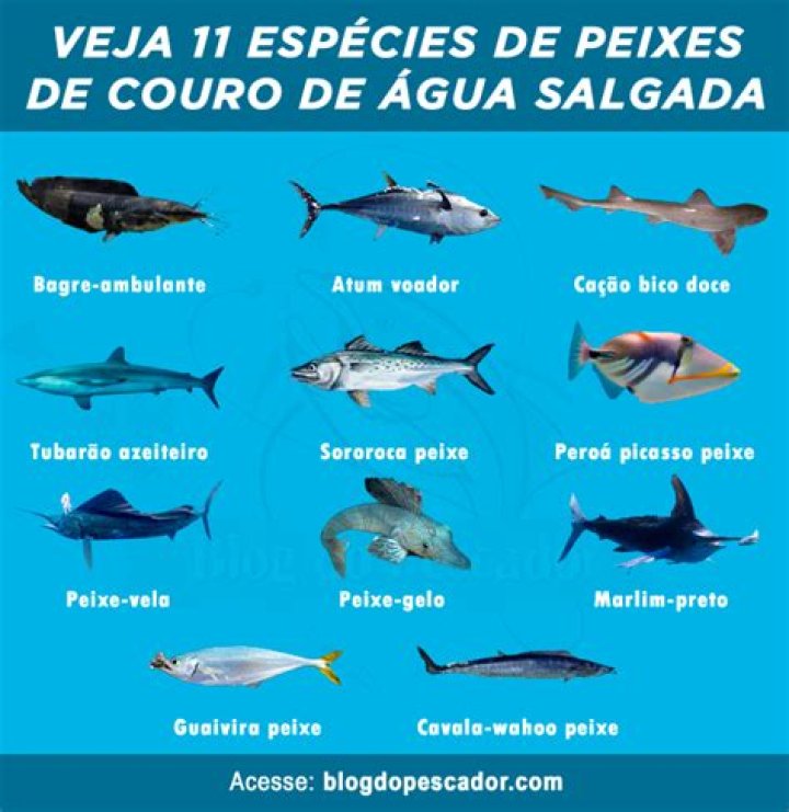 Quais peixes tem couro?