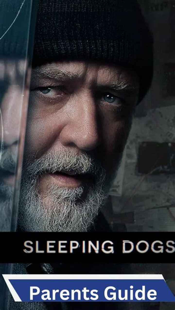 What age rating watch dogs?