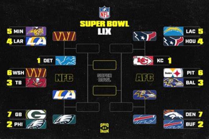 What NFL teams are going to the playoffs?