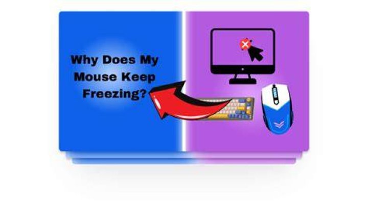 Why does my Webex keep freezing?